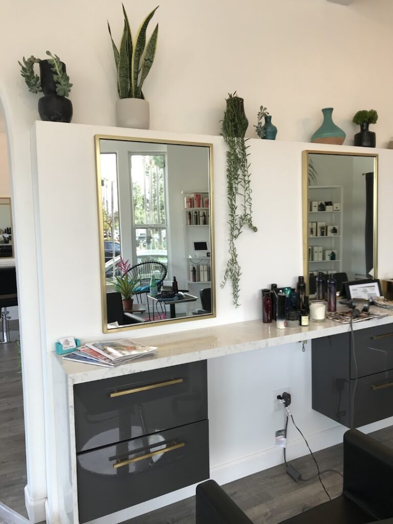 Hair salon Paloma Salon + Apothecary near me