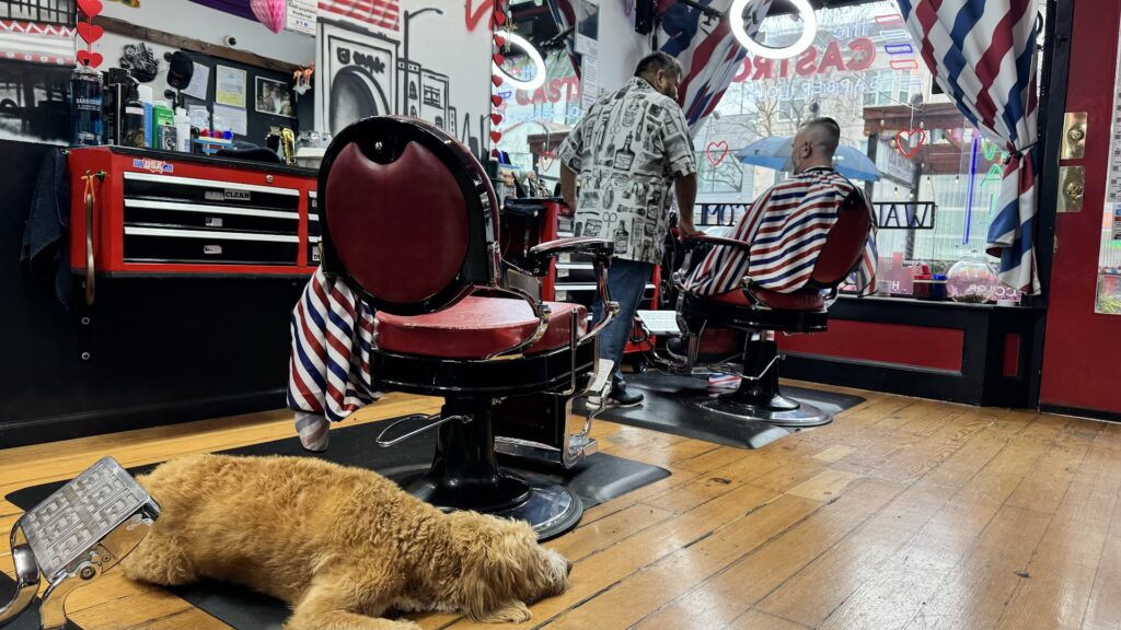 Barber shop The Castro Barber Lounge near me